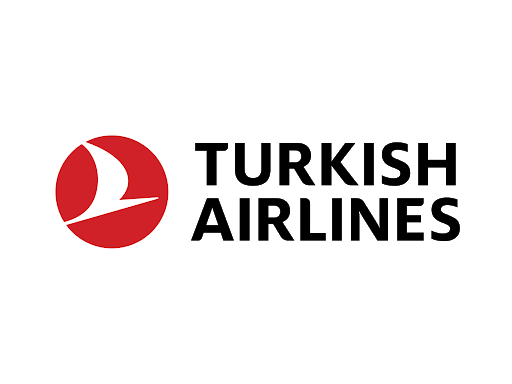 航空公司標(biāo)志設(shè)計(jì)